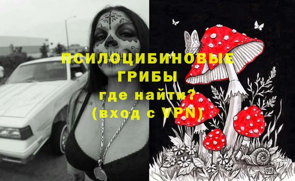 крисы Арсеньев