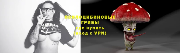 a pvp Армянск