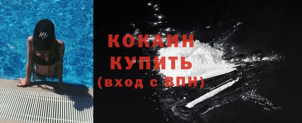 крисы Арсеньев
