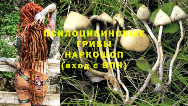 крисы Арсеньев